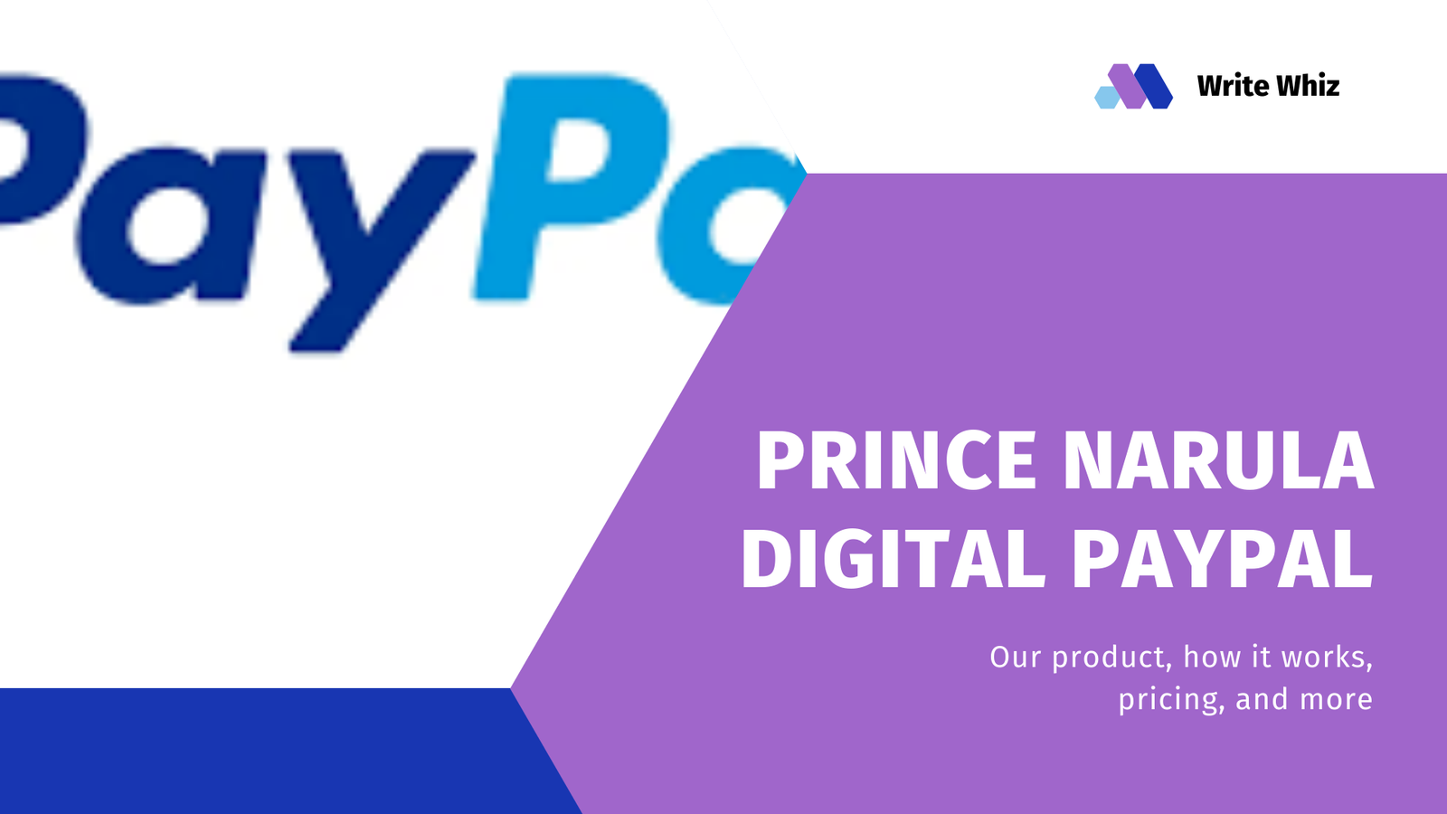 Prince Narula Digital Paypal